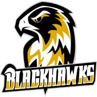 blackhawks logo typo 200