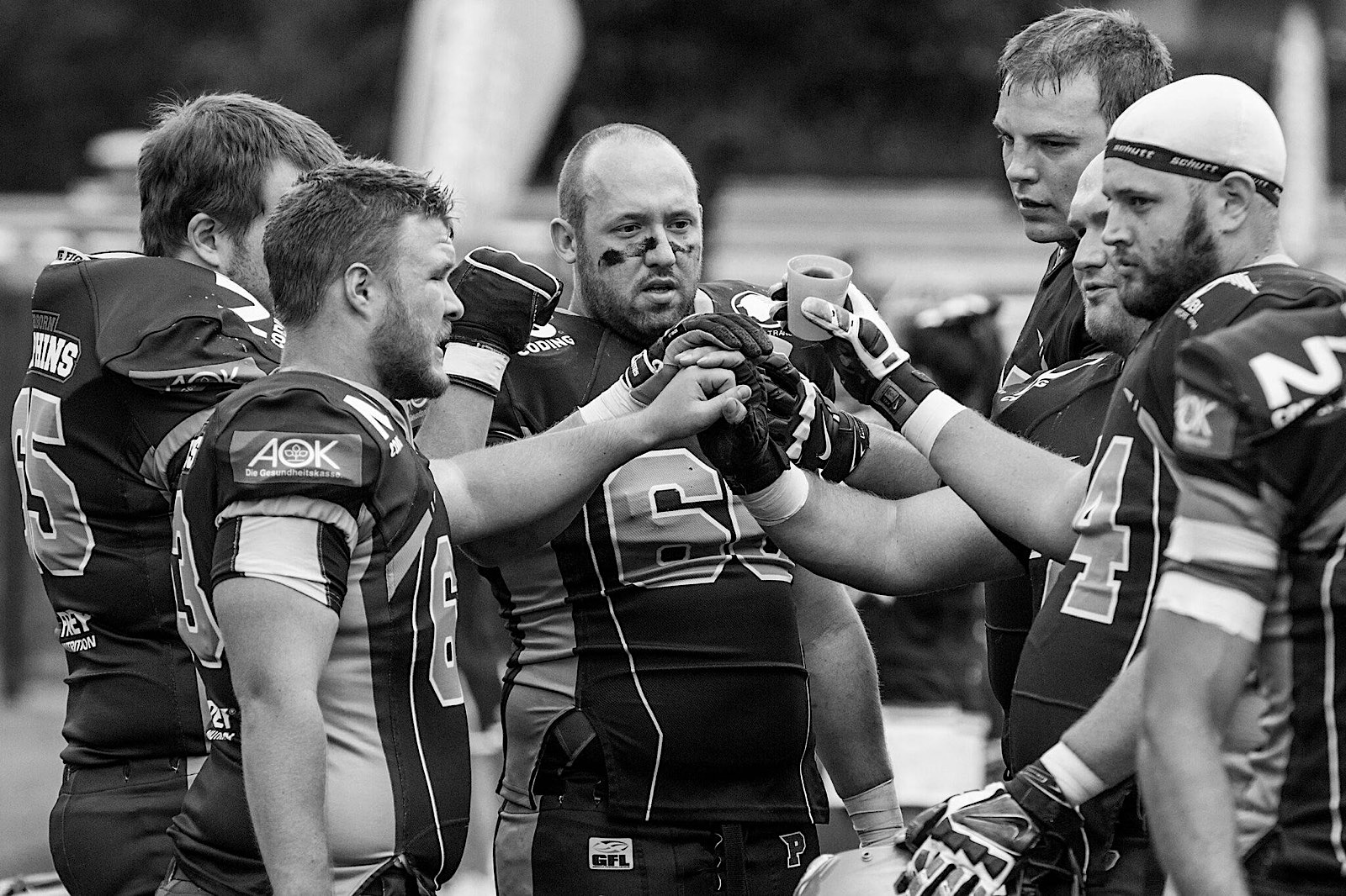 Paderborn Dolphins