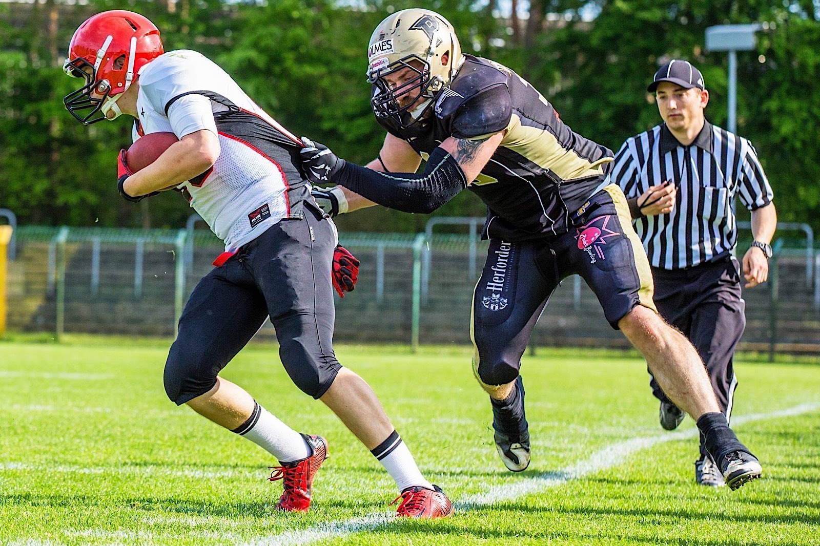 20160518 PBD vs PotsdamRoyals Bild01