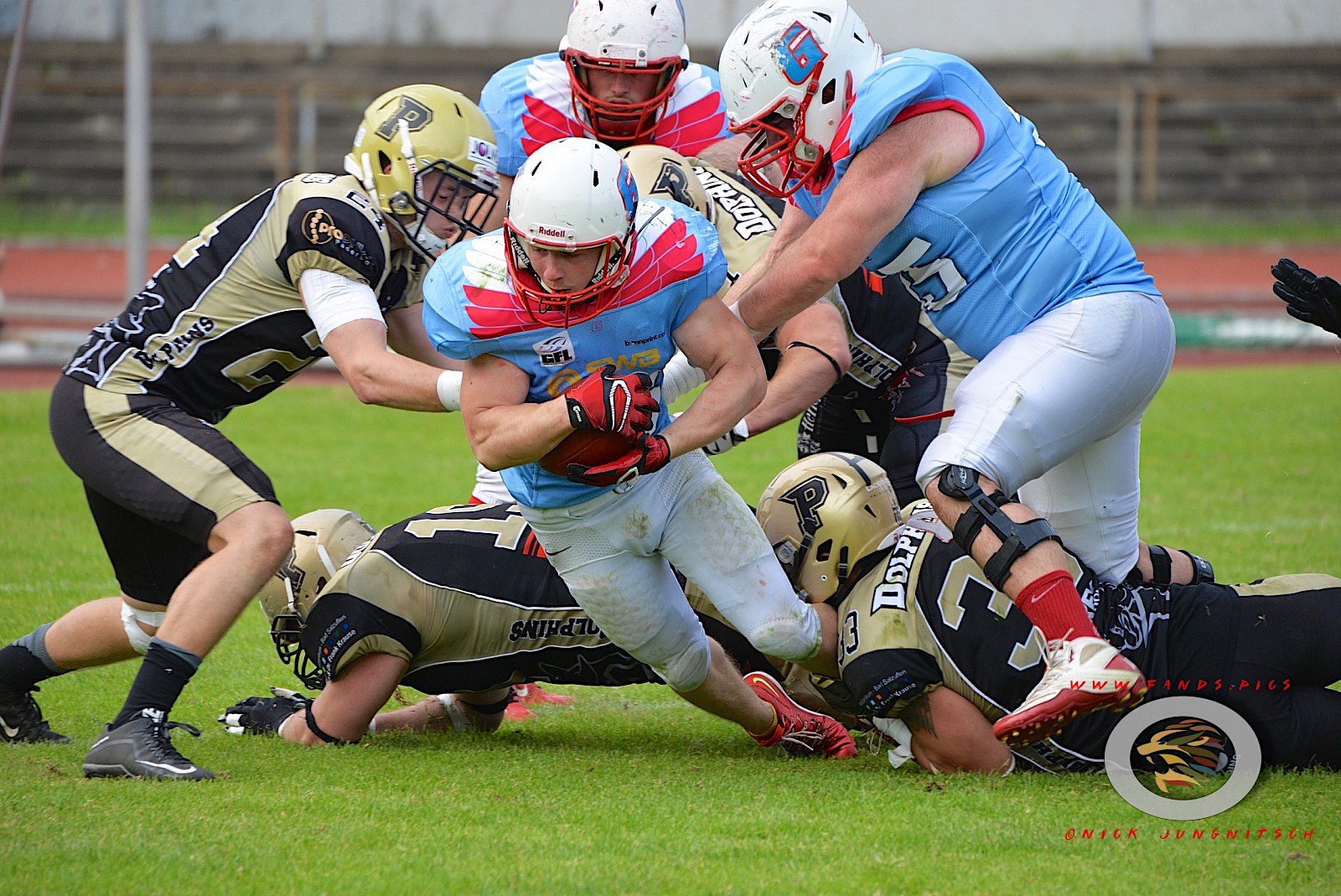 Gamecocks Paderborn