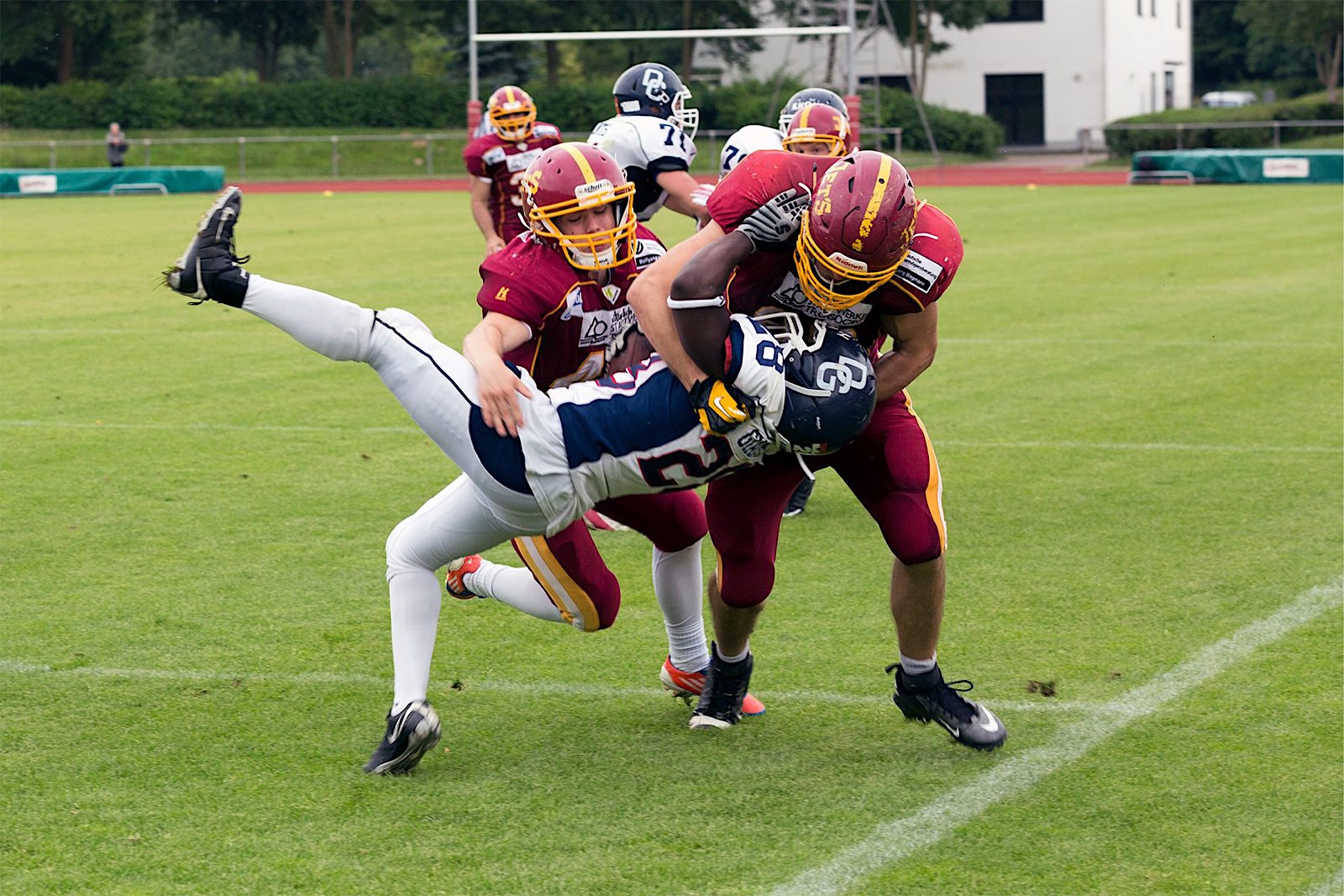 Albrecht Giants 2017 Sander