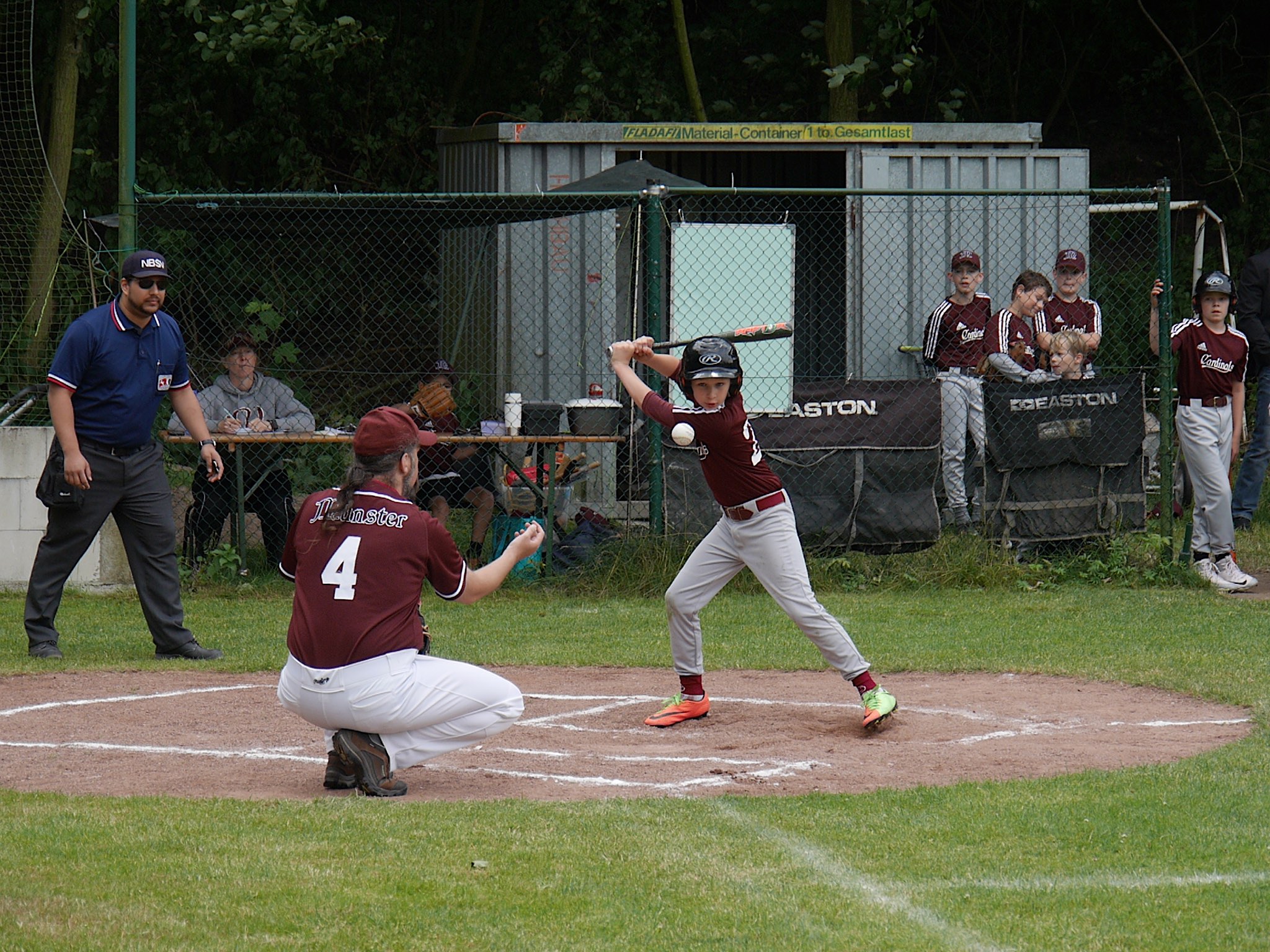 Baseball Münster Cardinals