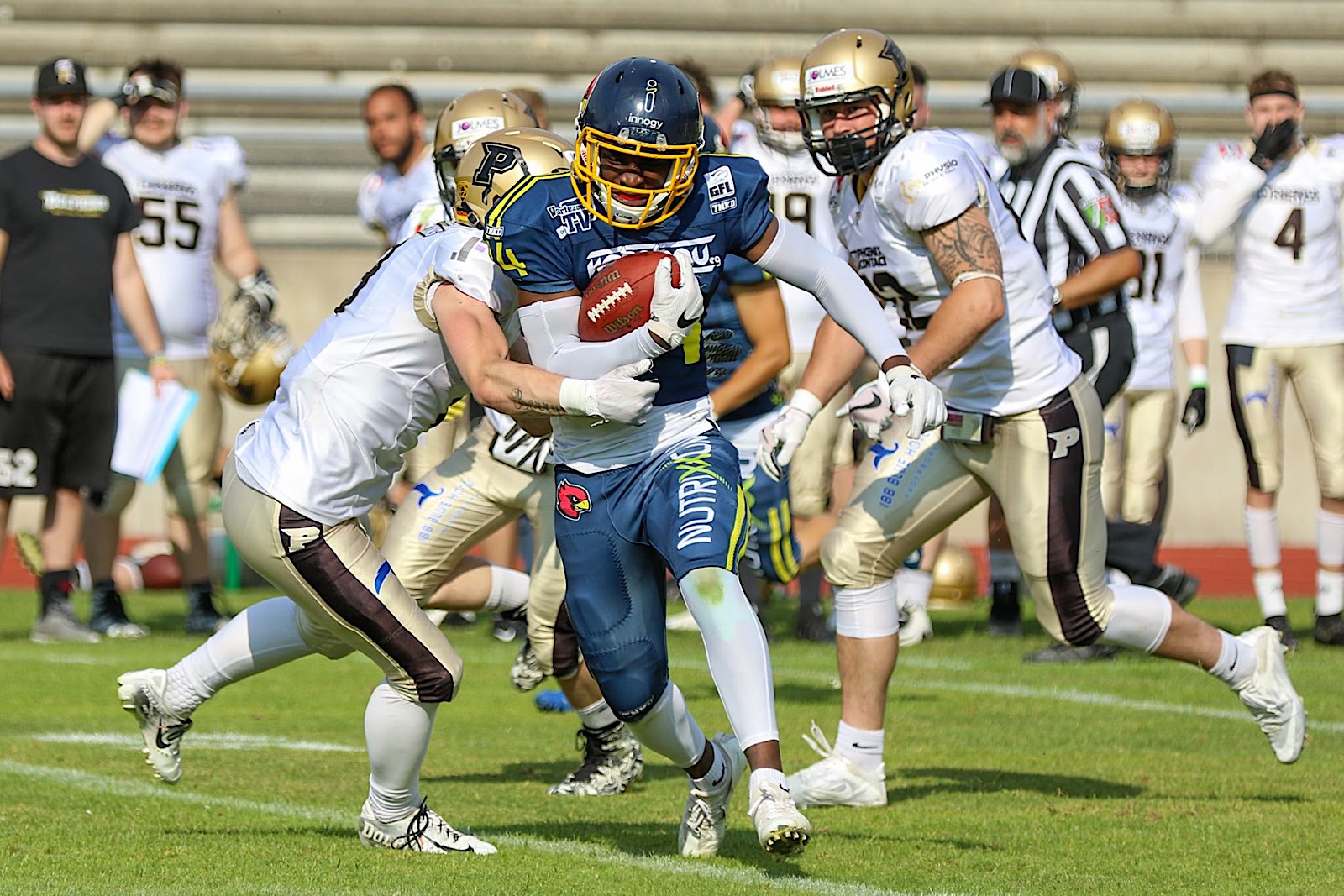 WR Harlan Kwofie (14) ist der Top-Scorer der Cardinals (Foto: © Roland Schicho)