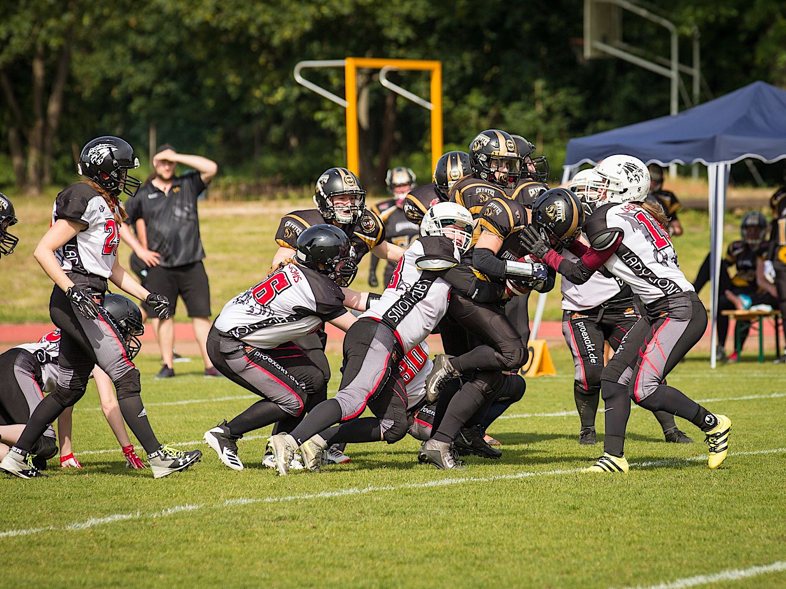 Lady Lions vs. Oldenburg (Fotos: Lady Lions / 1. FFC Braunschweig)