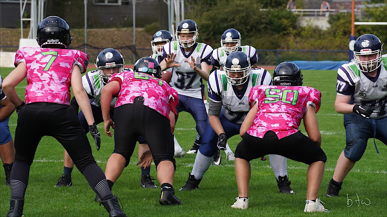 Typhoons Quarterback Robert Jasper beim Snap (Foto: Bernd Thiel-Wieding)