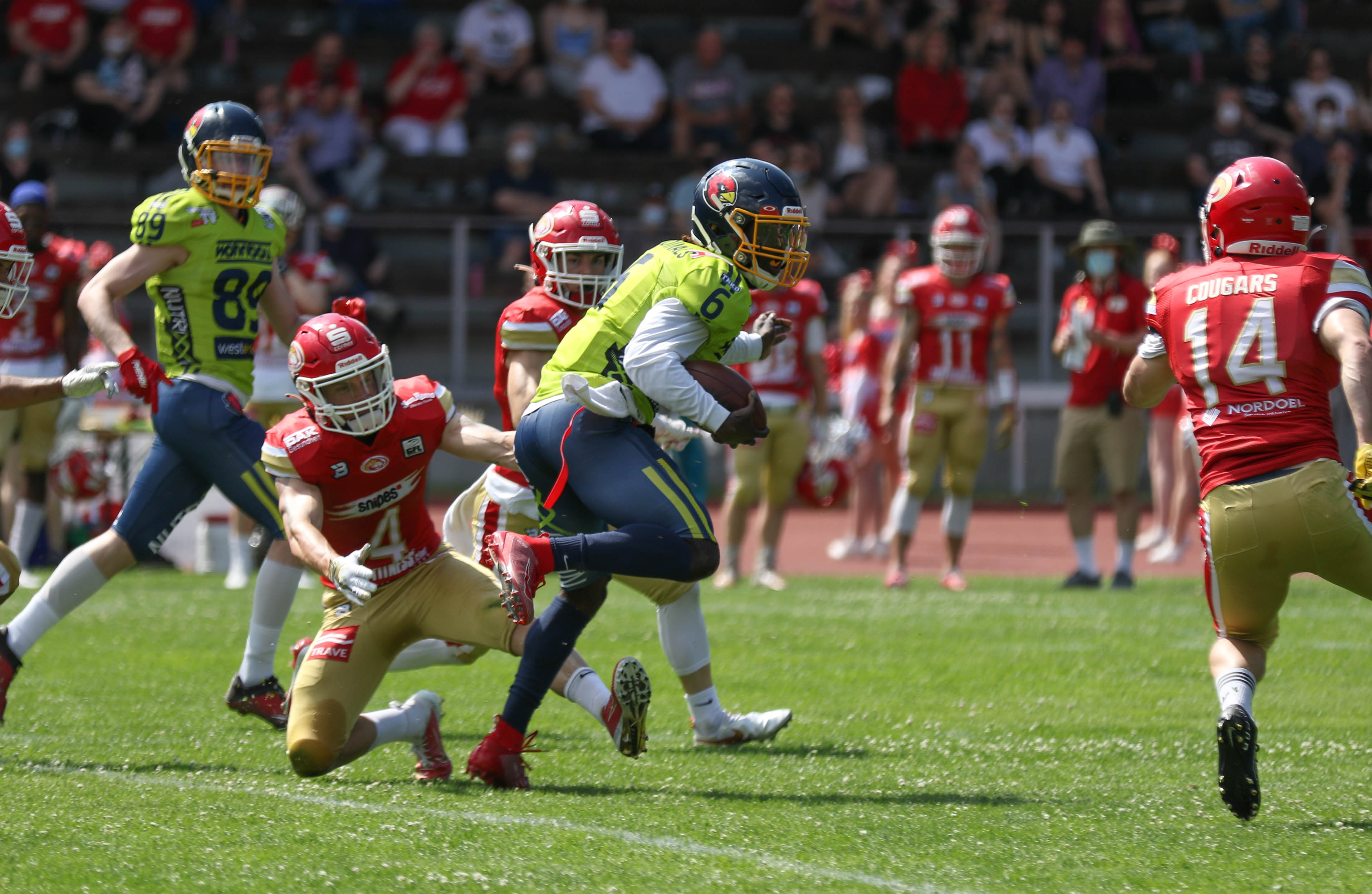 Cardinals Quarterback Joe Newman (Nr. 6) erzielte beide Essener Touchdowns selbst (Foto: Roland Schicho)