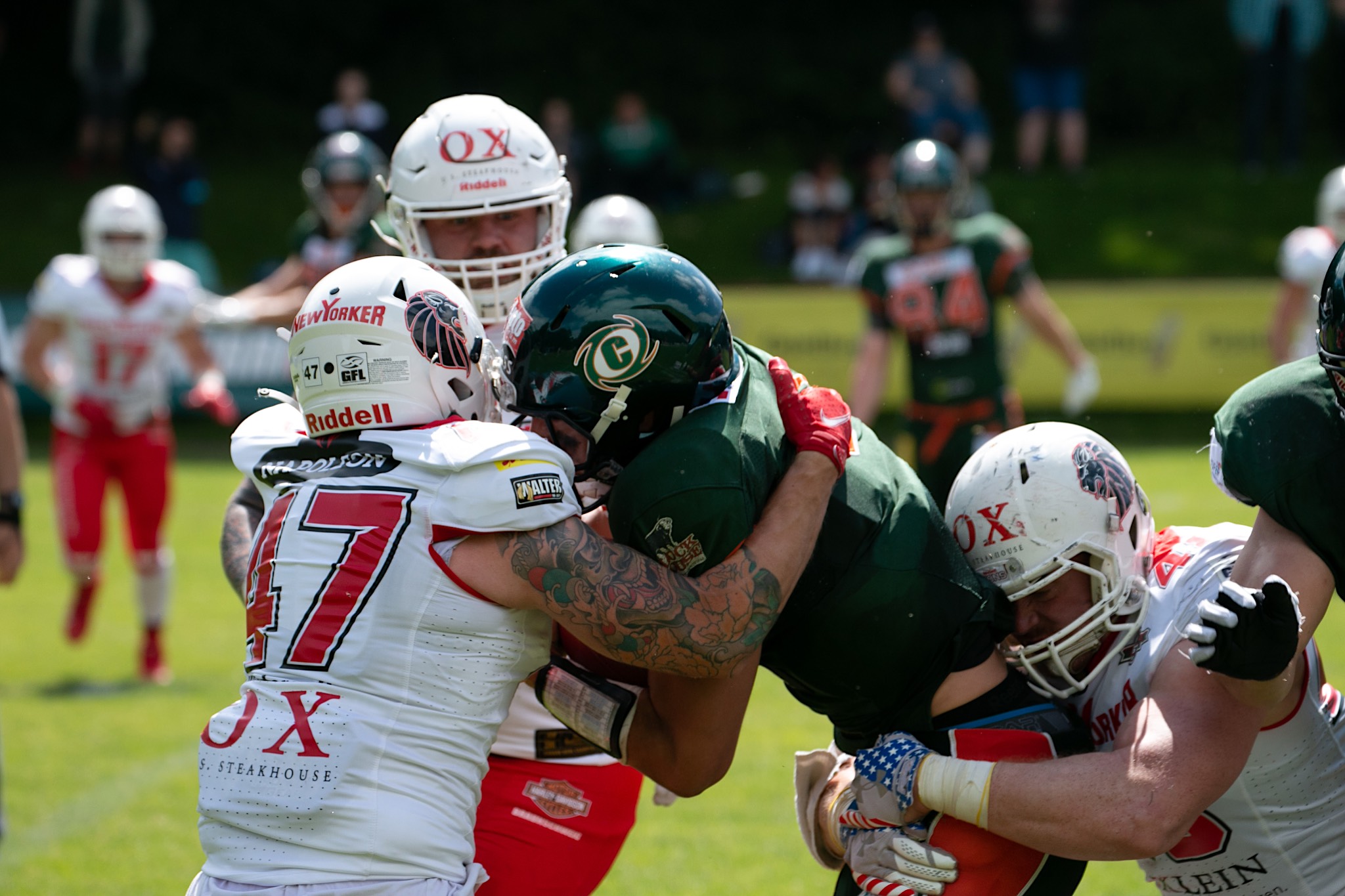 Defense der Lions gegen die Offense der Kieler (Foto: Fabian Uebe)