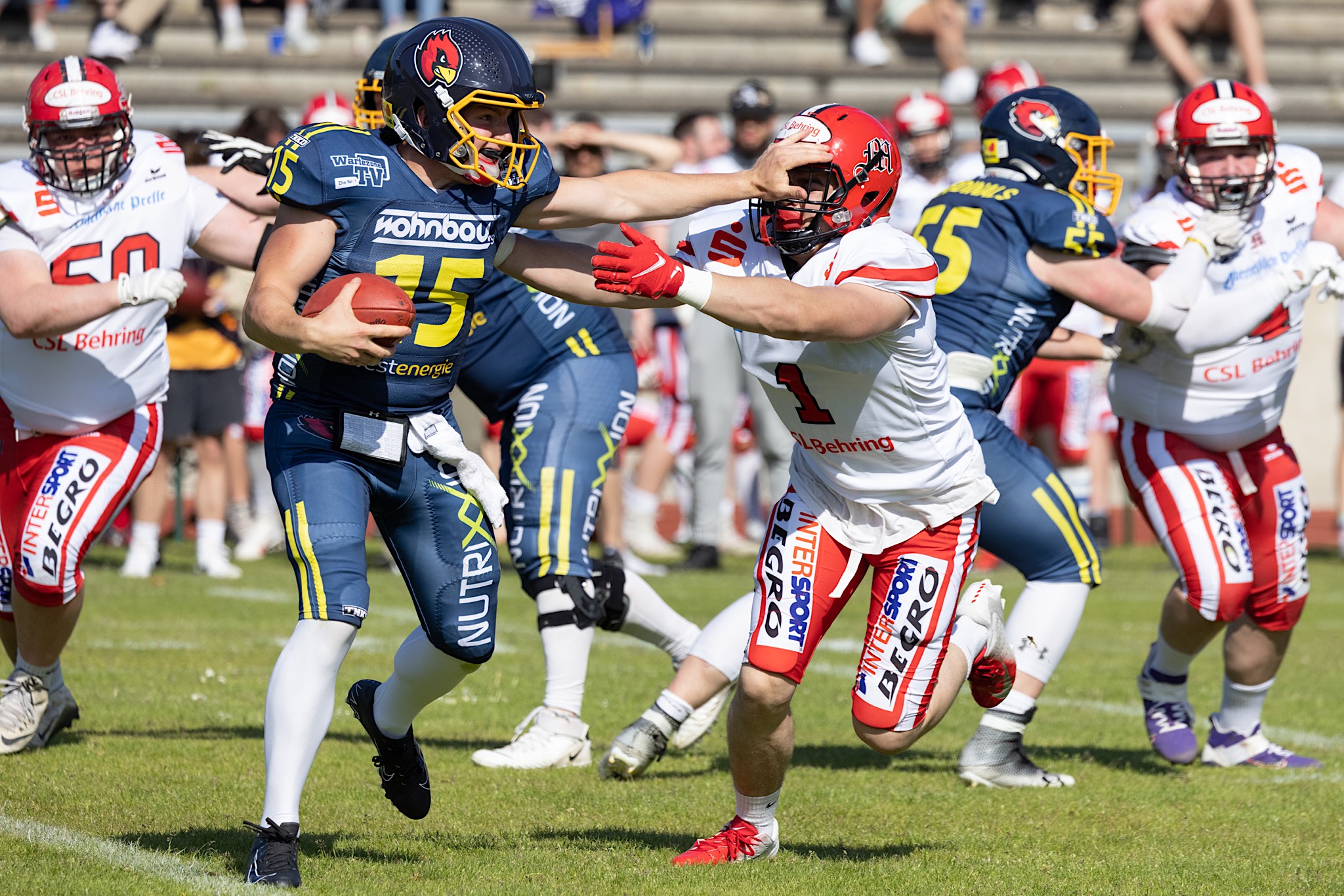 QB Marvin Neese (15) hält sich den Verteidiger mit einem Stiff Arm vom Leib (Foto: Roland Schicho / Assindia Cardinals)