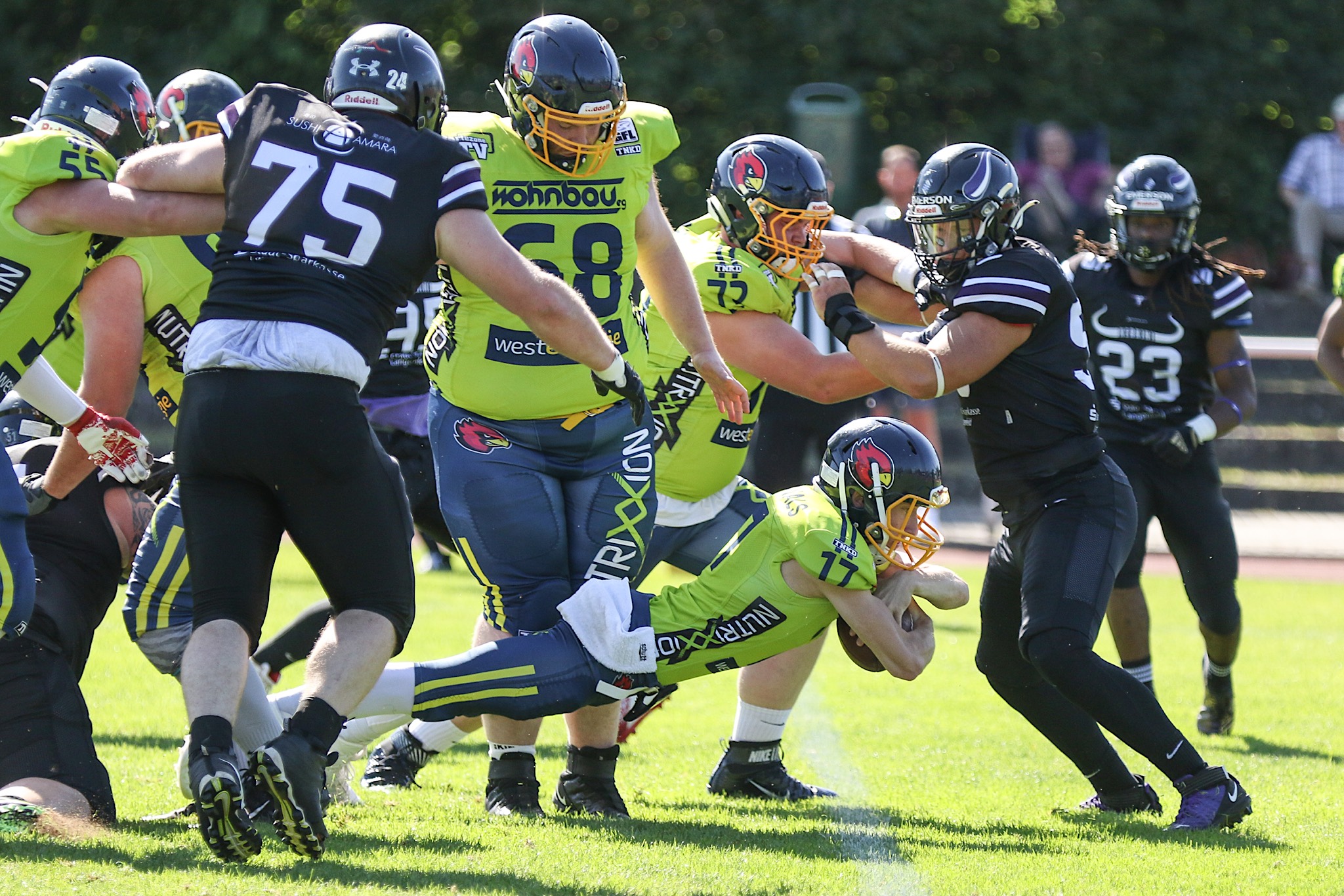 QB Alex Jodlauk (17) erzielt 2021 einen Touchdown im Spiel in Langenfeld  - Foto: R.Schicho / Assindia Cardinals