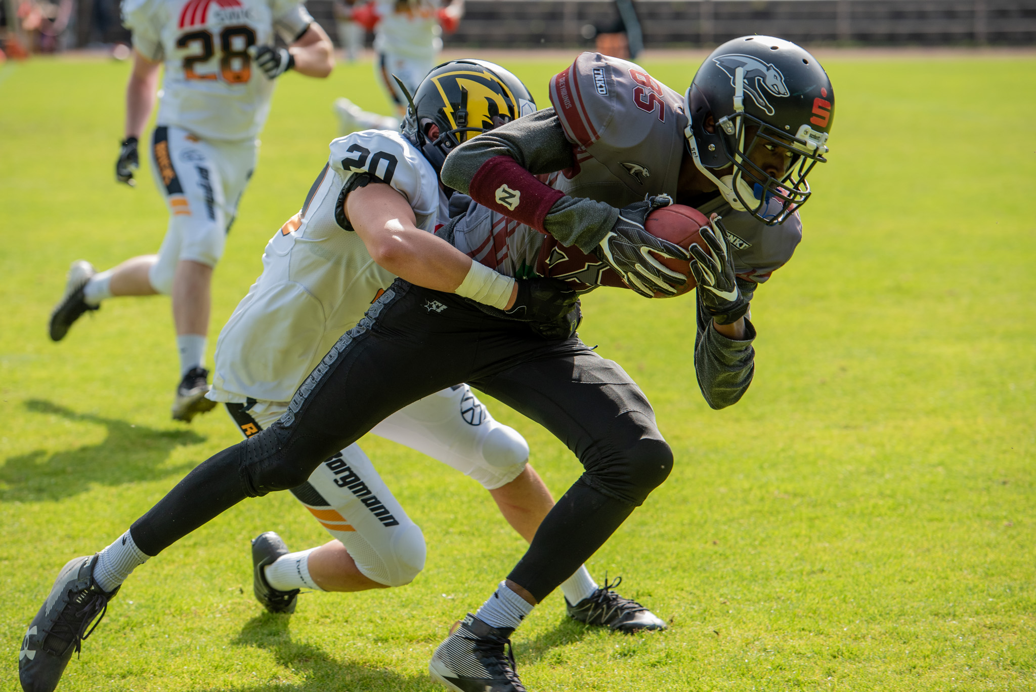 WR Marco Anthony #85 sorgte für einige Yards für die Wuppertal Greyhounds - Foto: Oliver Jungnitsch