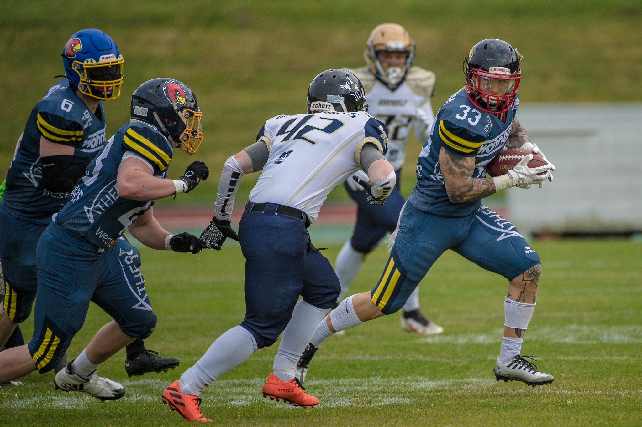 Testspiel Assindia Cardinals gegen Golden Eagles NJ