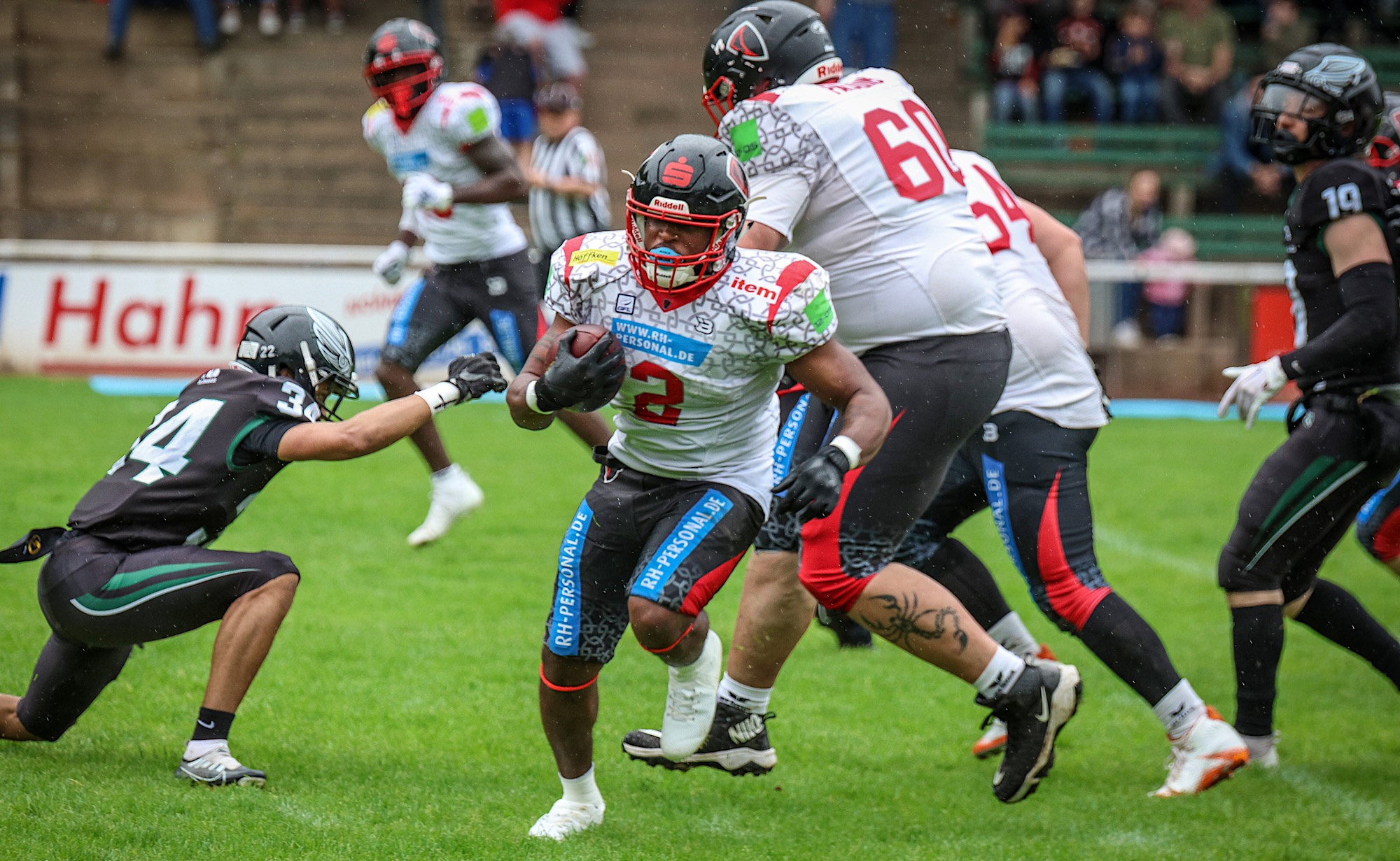 Paladins gewinnen gegen die Brüssel Black Angels - Foto: Marc Junge