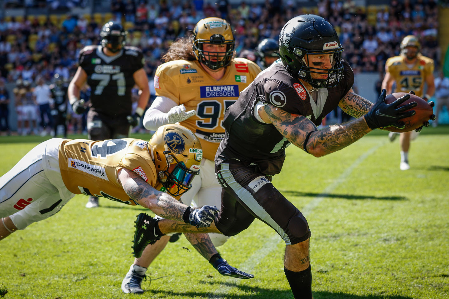 Dramatischer Sieg der Berlin Rebels gegen die Dresden Monarchs - Foto: Goßlar