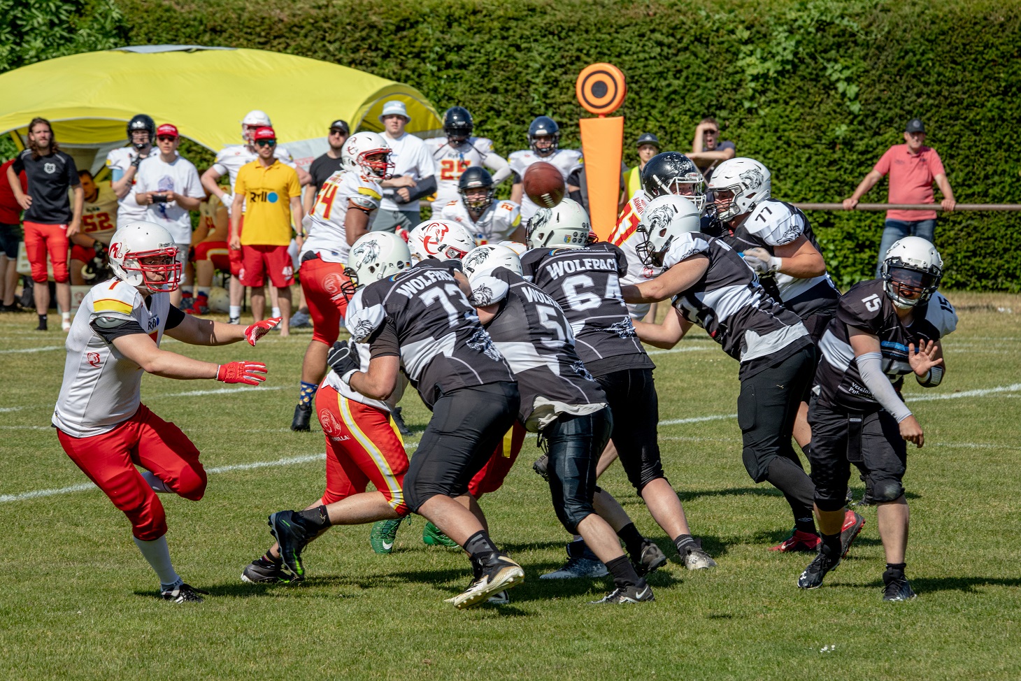 Arbeitssieg des Wolfpack über Münster Mammuts - Foto: Martina Houben