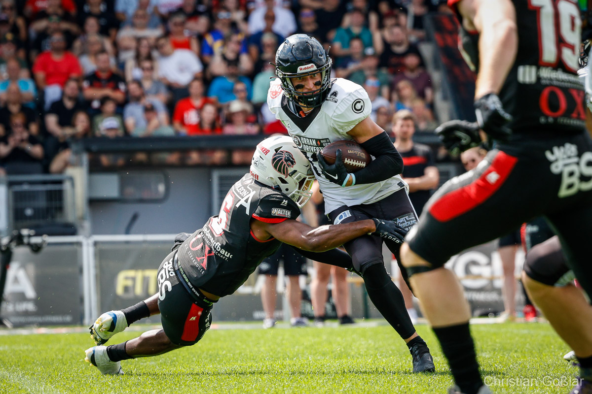 Letzter Schritt zu den Playoffs: Berlin Rebels gegen Braunschweig Lions - Foto: Christian Goßlar