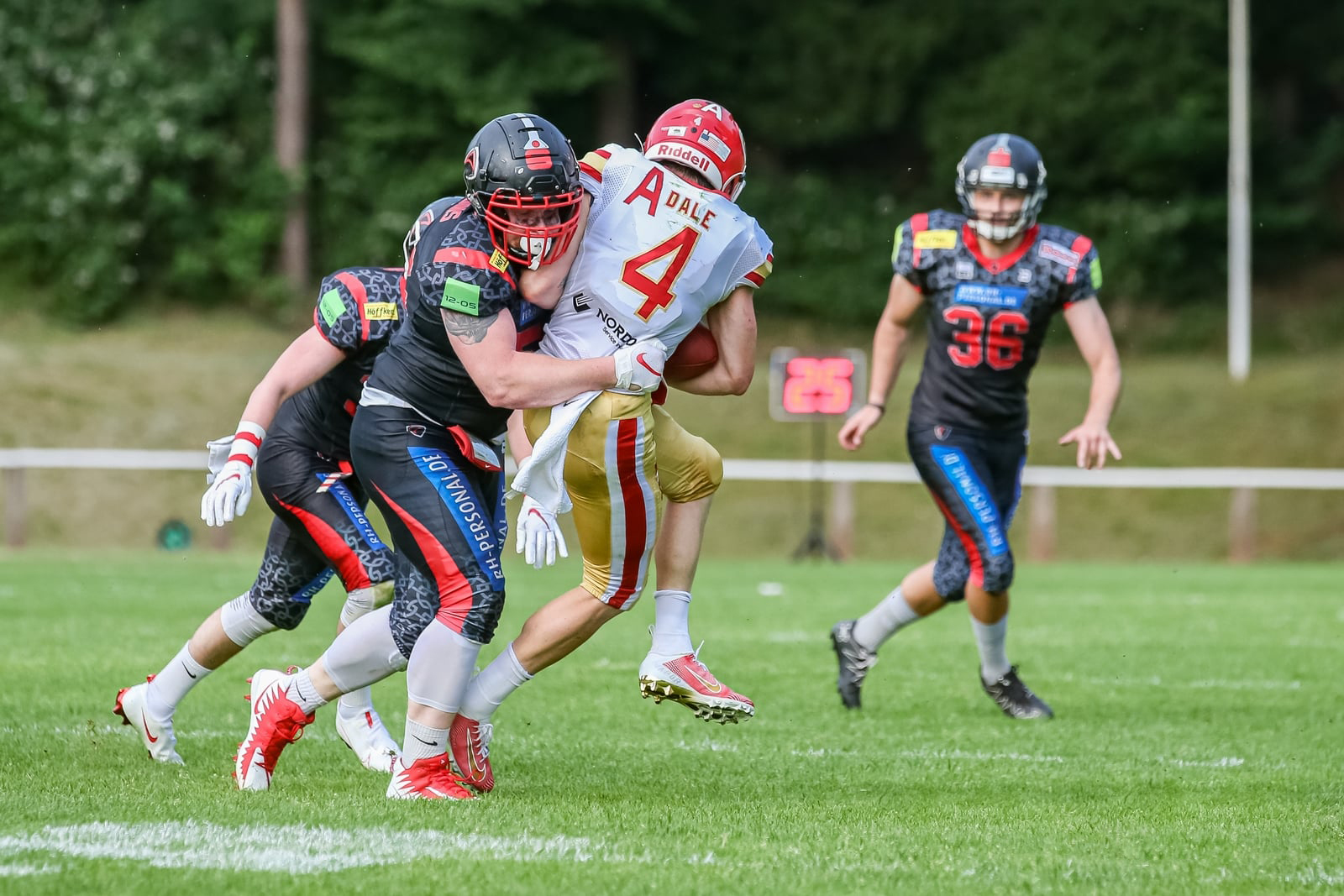 Paladins reisen nach Lübeck zu den Cougars - Foto: Werner Thorenz