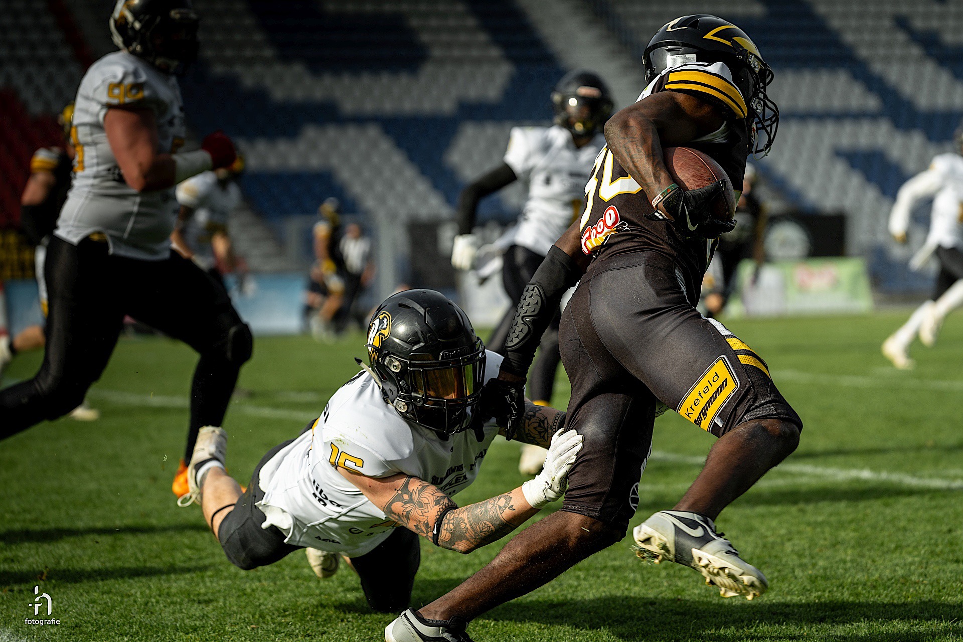 Ravens mit erstem Statement gegen GFL2-Absteiger - Foto: Florian Haerdle