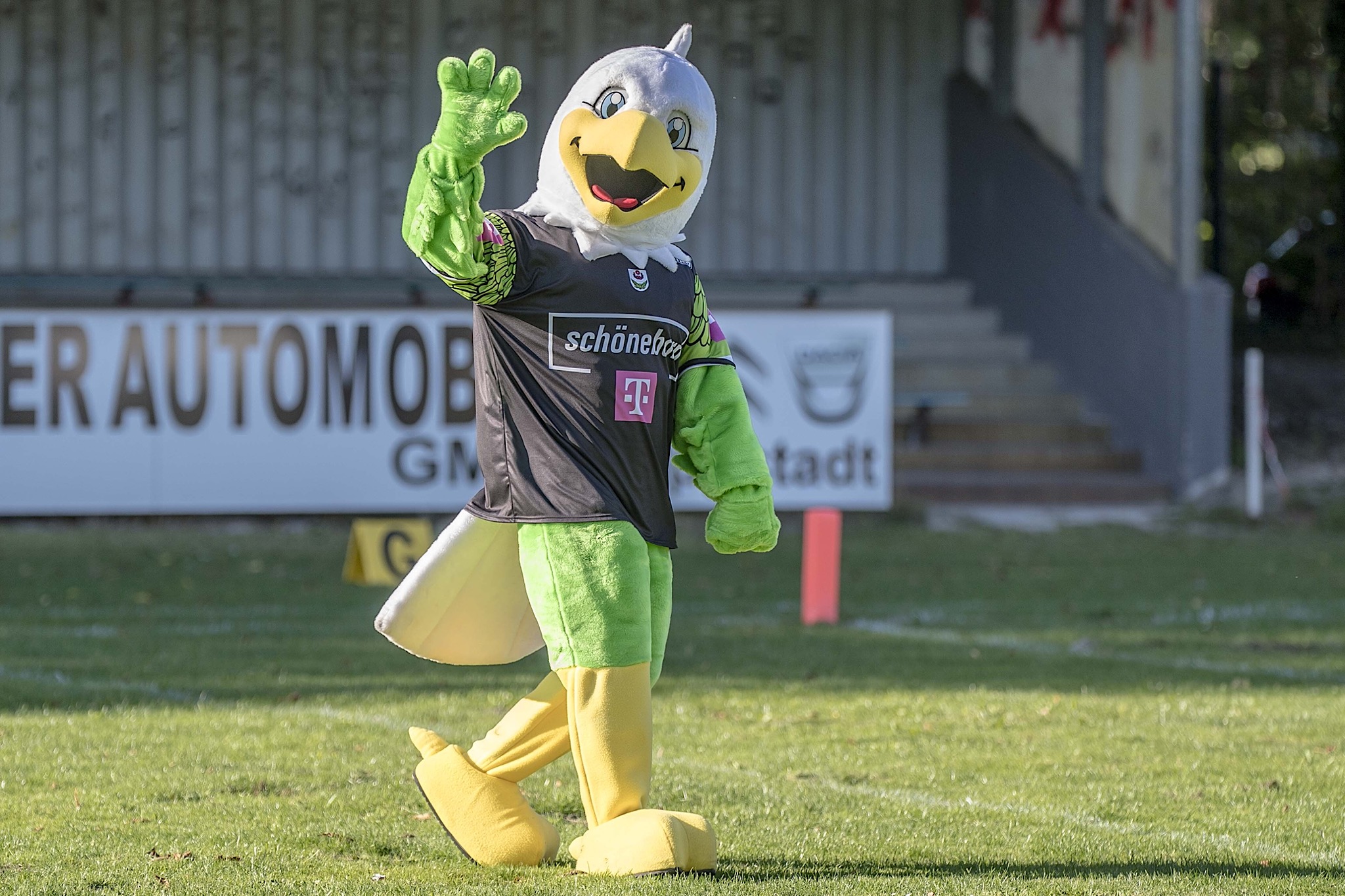 Maskottchen der Lippstadt Eagles - Bernie - wurde beim Spiel offiziell vorgestellt (Foto: Oliver Jungnitsch)