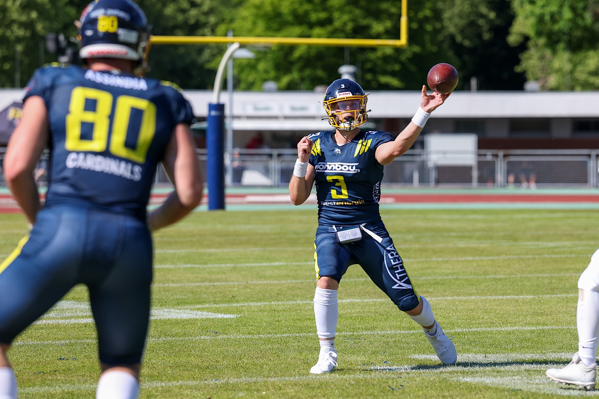 Assindia Cardinals -  Foto: Sascha Schneider