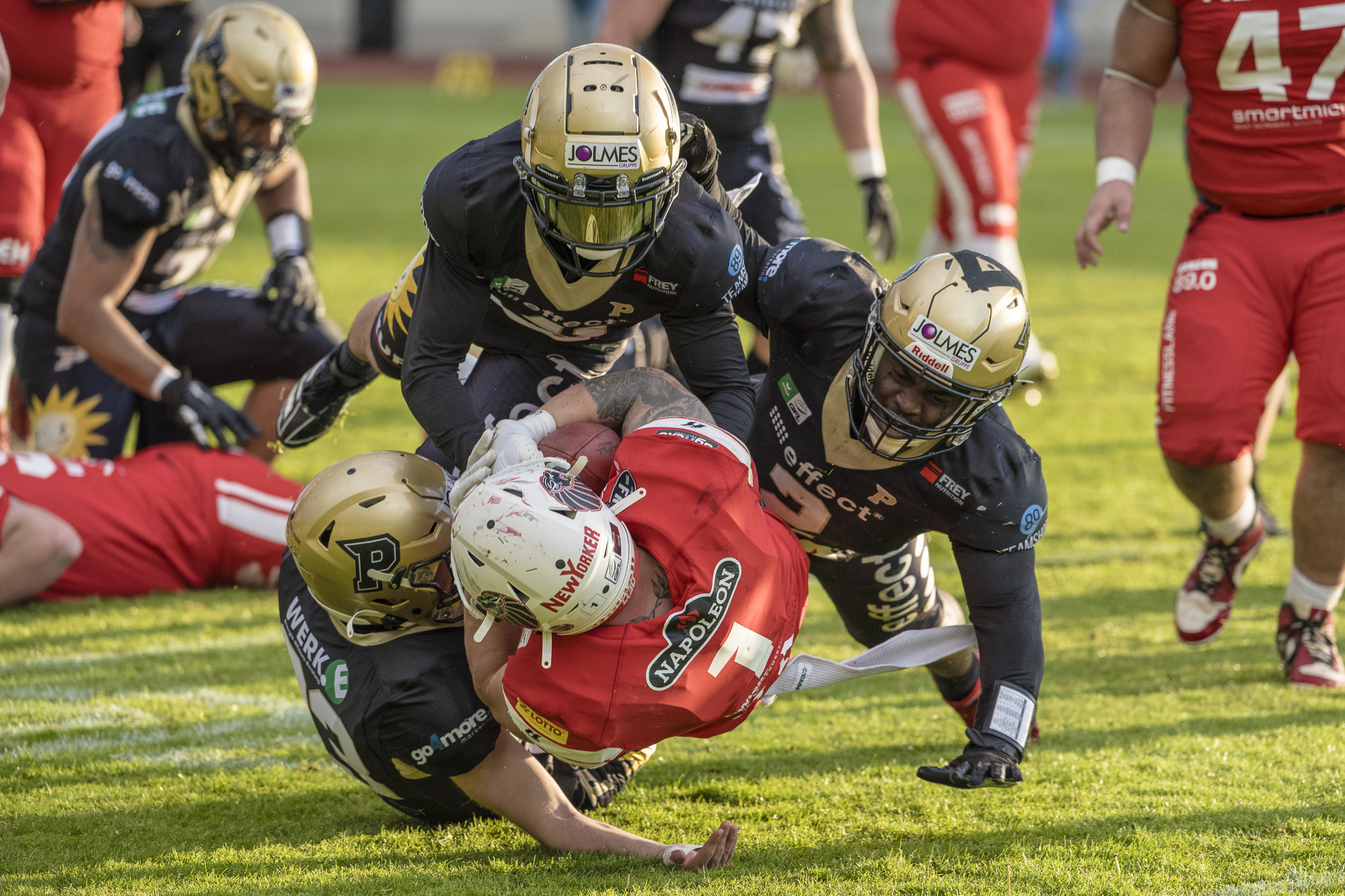 Die Defense der Paderborn Dolphins bekam die Offense der Lions kaum in den Griff - Foto: Oliver Jungnitsch