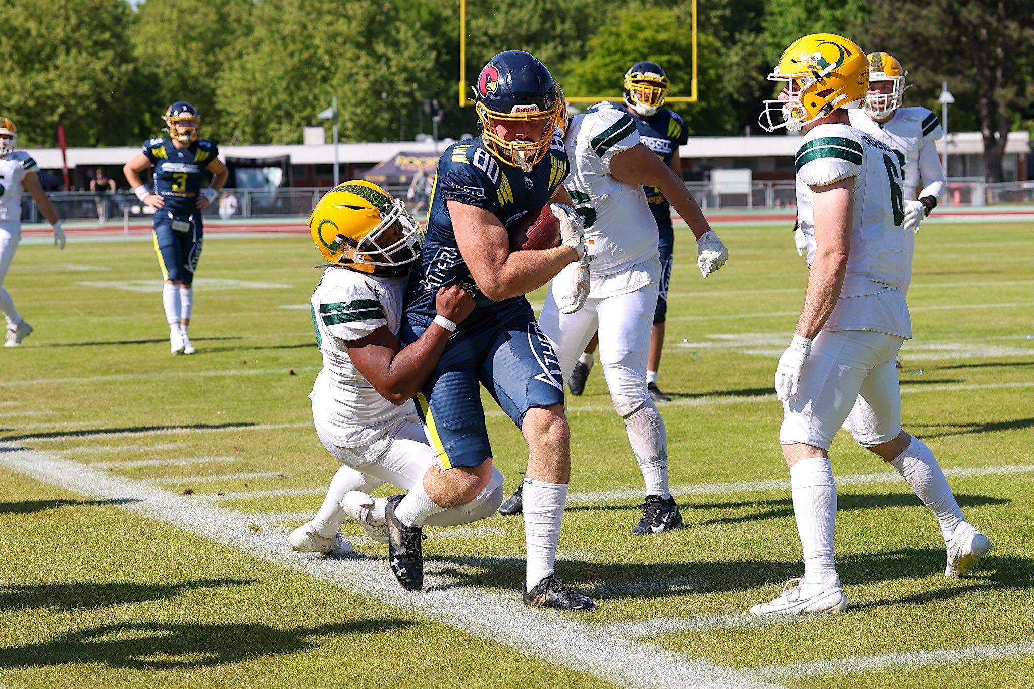 Assindia Cardinals drehen das Spiel nach der Pause – 31:21-Heimsieg gegen Cologne Crocodiles - Foto: Sascha Schneider