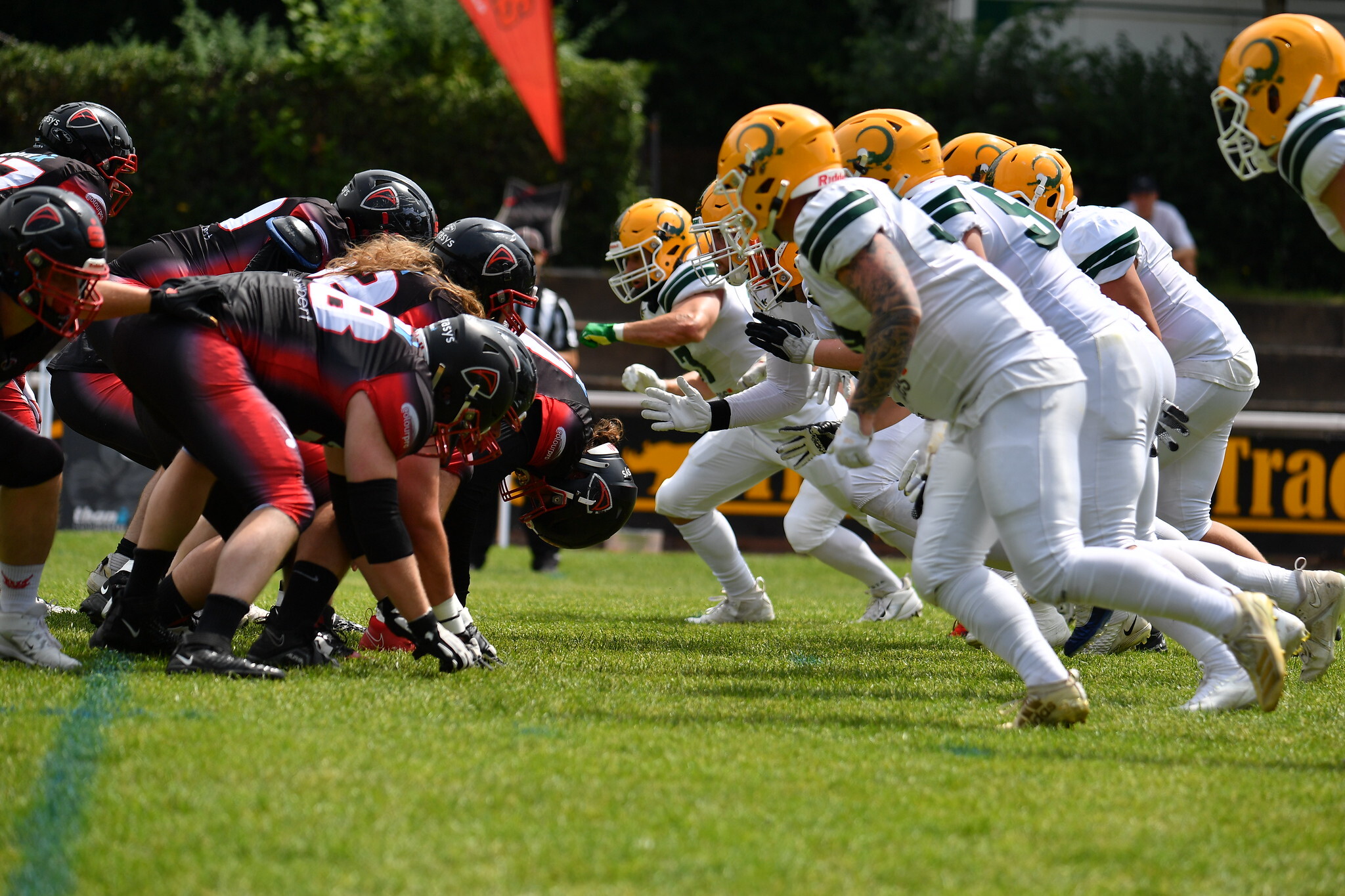 Die Solingen Paladins gewinnen gegen die Cologne Crocodiles vor heimischer Kulisse mit 30:28 - Foto: a_f_pics / Lukas Nowrot