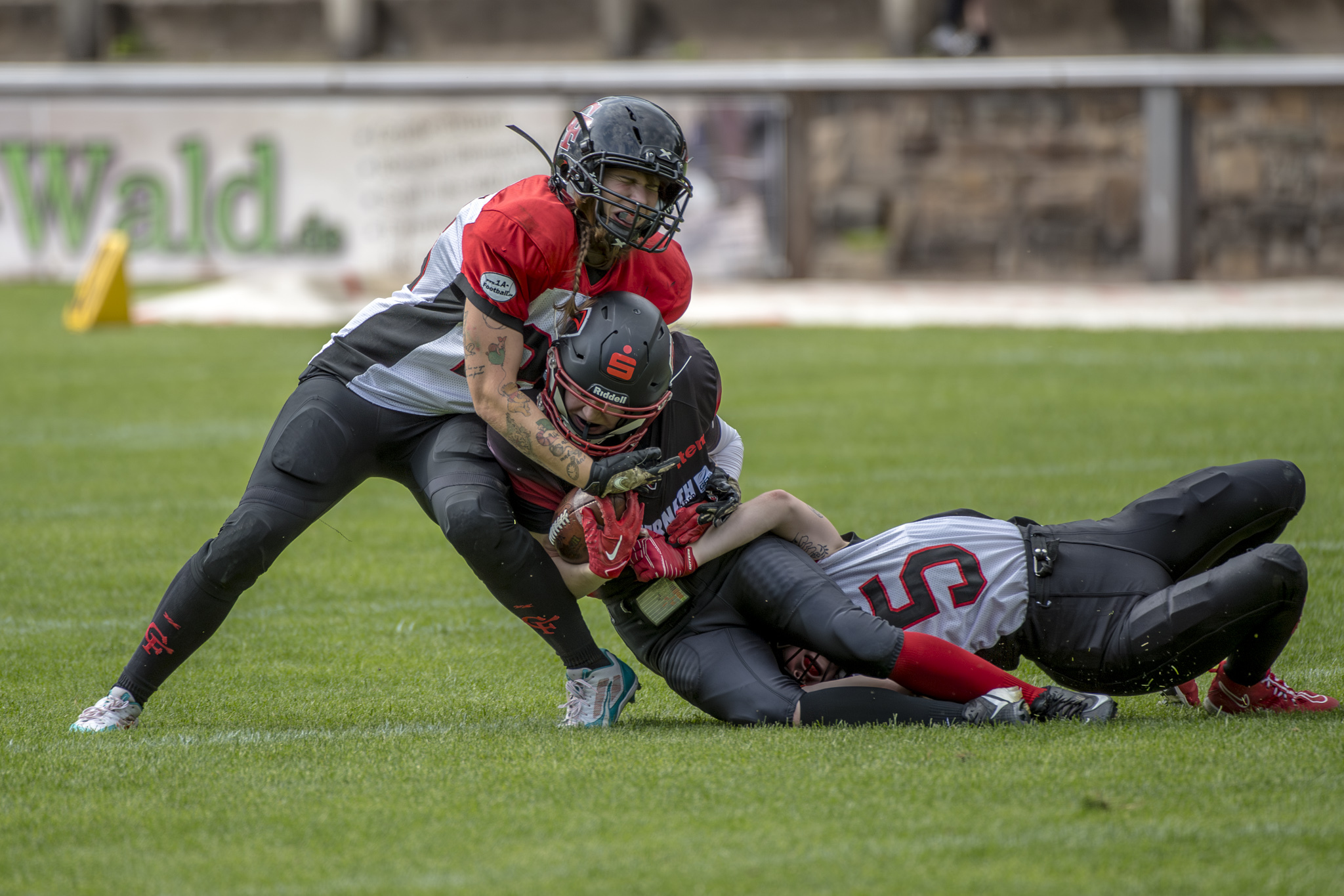 GFL2 Women Solingen Paladins vs Cologne Falconets NJ 03. August 2025 0002 Oliver Jungnitsch