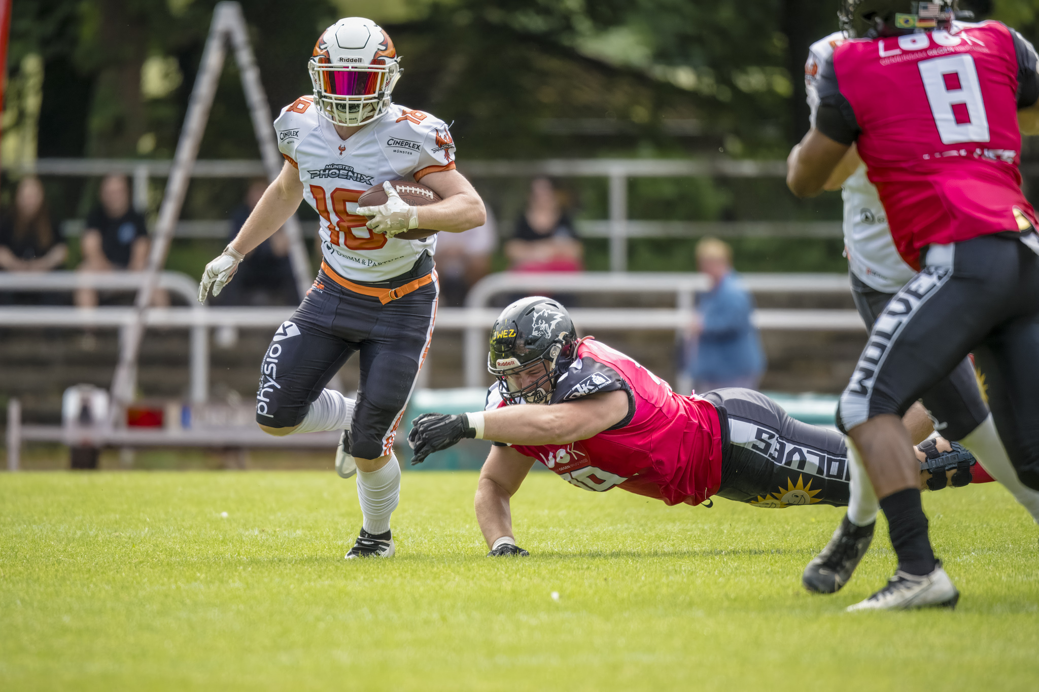 Running Back Bjarne Middendorf sorgte mit seinen Läufen für viele Münsteraner Yards - Foto: Oliver Jungnitsch