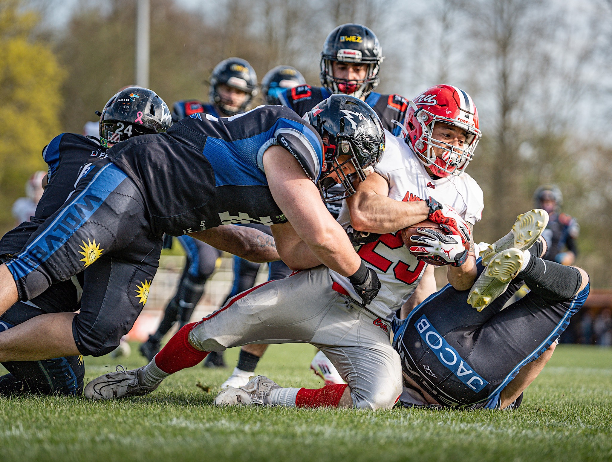 Nach der Pause packte die Mindener Defense kräftig zu und ließ die Amsterdam Crusaders kaum noch in die Nähe der Endzone kommen. Foto: Hendric-Noah Pieper