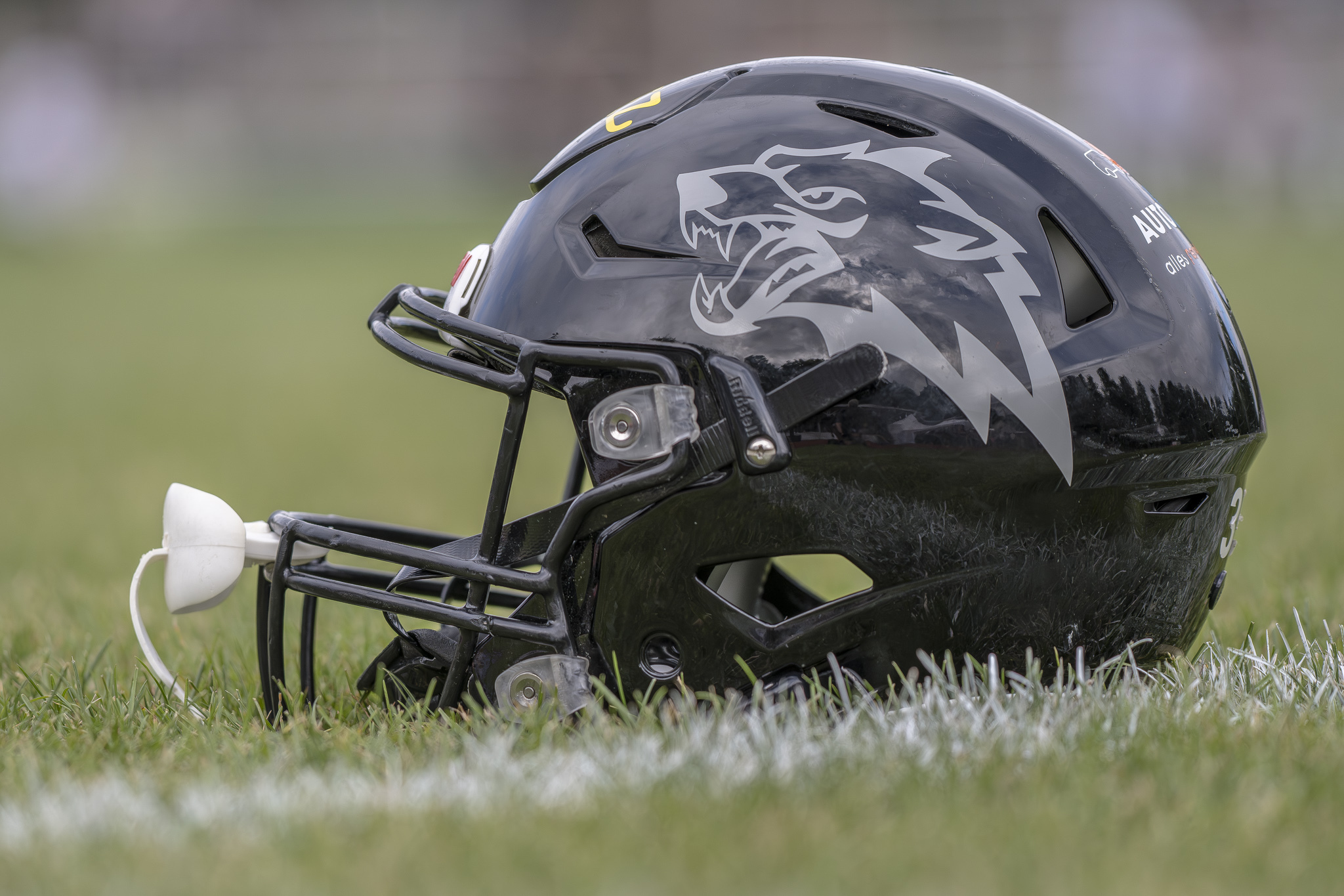 Showdown am Tabellenende Wolves und Longhorns im direkten Duell 31. August 2025 0001 Oliver Jungnitsch