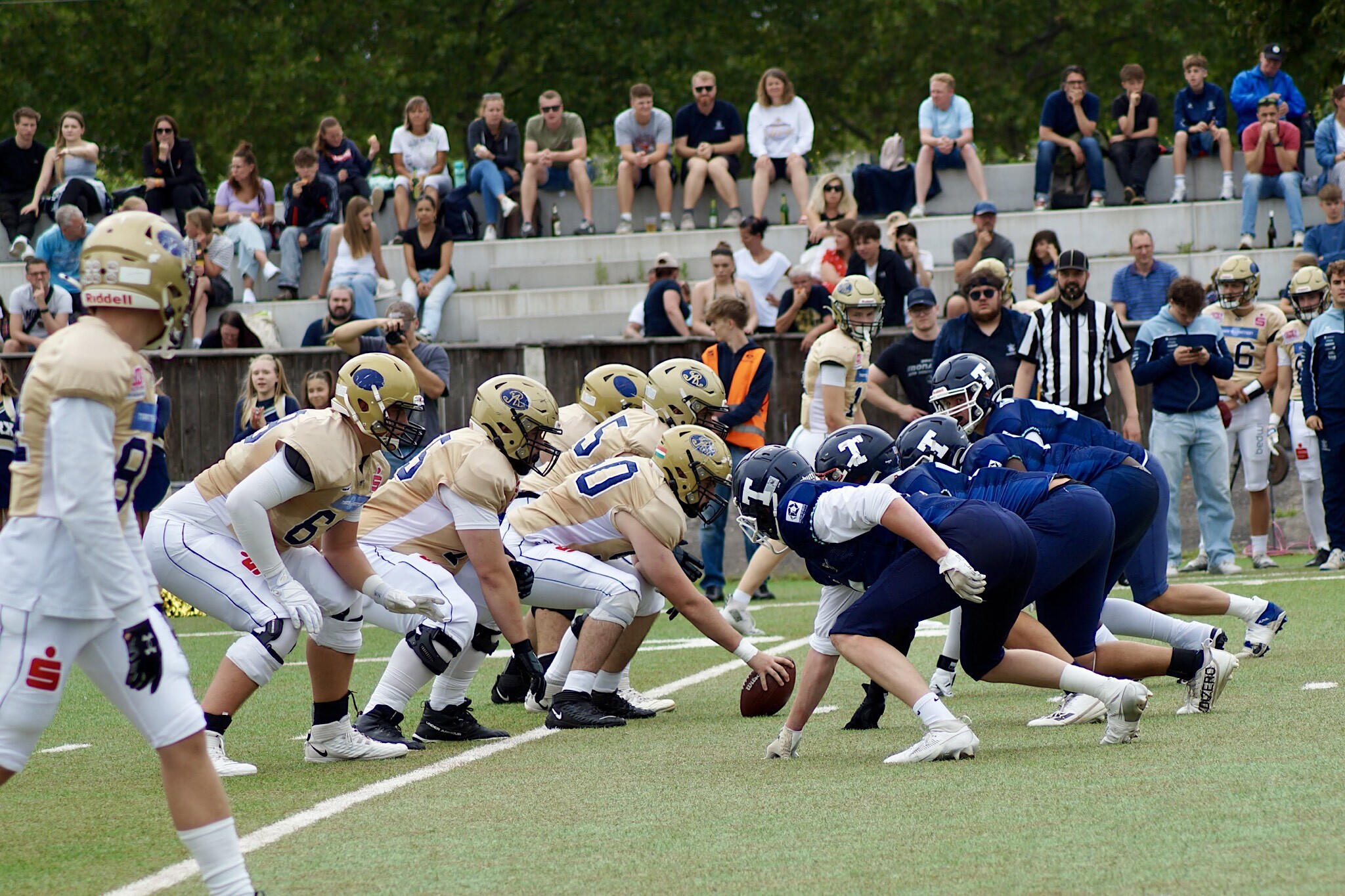 Dresden Monarchs vs TFG Typhoons - Foto: Dodo Limpert
