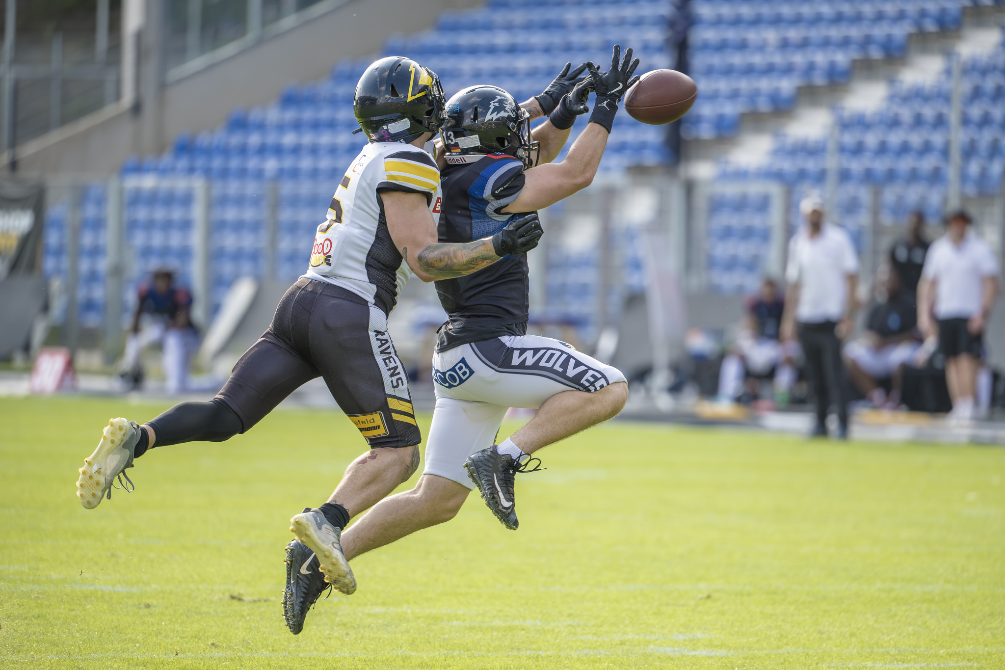 Die Minden Wolves ziehen sich als Gast von Tabellenführer Krefeld Ravens beim 18:48 gut aus der Affäre - Foto: Oliver Jungnitsch
