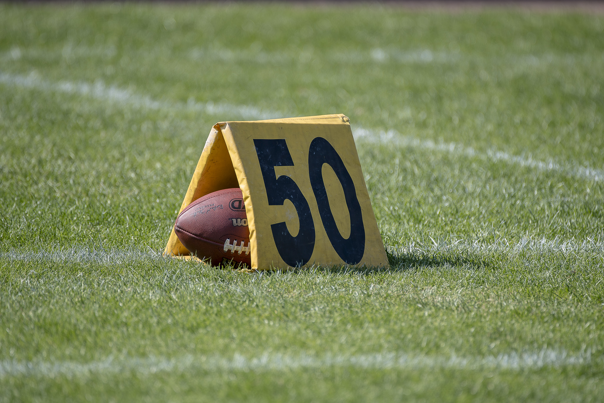 Ball auf der 50 Yardline - Foto: Oliver Jungnitsch