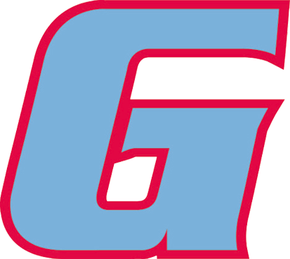 Gamecocks Logo nur G