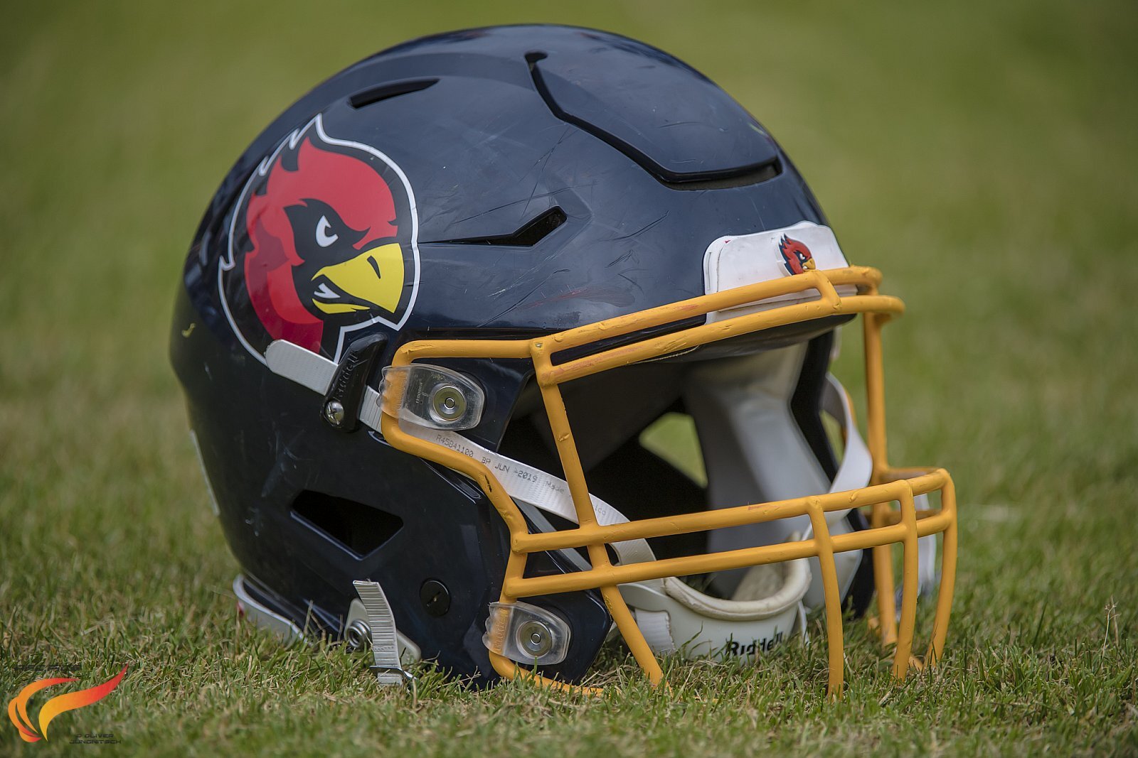 Assindia Cardinals Helm - (c) Oliver Jungnitsch