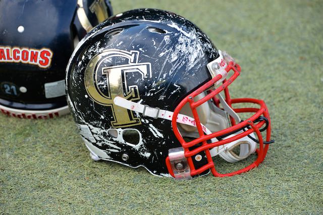 Falcons 000034 2016 05 14DSC 7199