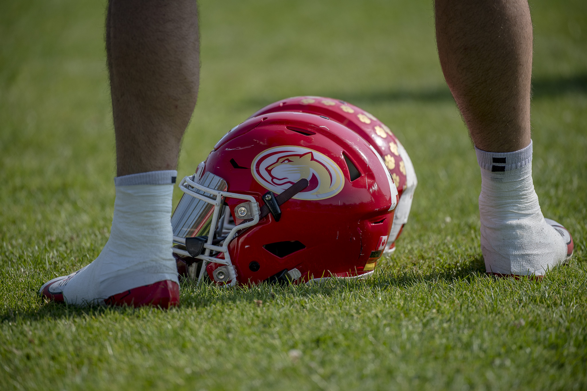 Lübeck Cougars - Helm (Foto: Oliver Jungnitsch)