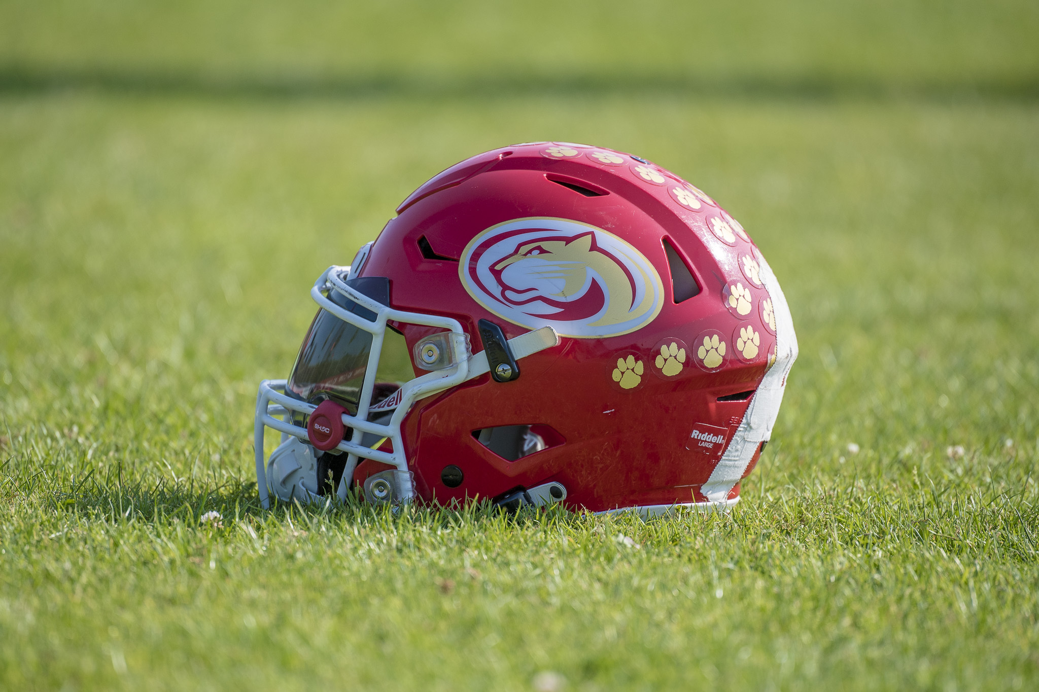 Lübeck Cougars Helm - Foto: Oliver Jungnitisch