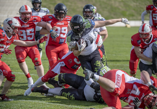 Gelsenkirchen Devils vor Heimauftakt – Eagles mit Top-Coach im Gepäck