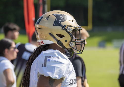  Flutlicht-Football im Ahorn-Sportpark: Dolphins empfangen die Lions zum Heimauftakt