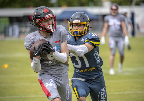 Richtungsweisendes Duell vor der Sommerpause: Assindia Cardinals empfangen Solingen Paladins