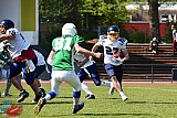 RL-U19: Assindia Cardinals vs Bielefeld Bulldogs