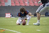 GFL2: Krefeld Ravens vs. Minden Wolves