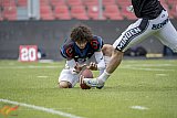 GFL2: Krefeld Ravens vs. Minden Wolves