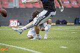 GFL2: Krefeld Ravens vs. Minden Wolves