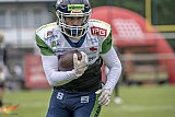 GFL: Paderborn Dolphins vs. Straubing Spiders