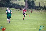 LS: Bochum Miners vs. Bielefeld Bulldogs