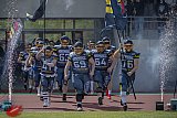 RL: Assindia Cardinals vs. Wuppertal Greyhounds 2023