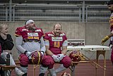 RL: Essen Assindia Cardinals vs. Troisdorf Jets - 2024