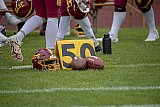 RL: Essen Assindia Cardinals vs. Troisdorf Jets - 2024